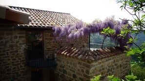 Terrasse ombragée par une glycine avec table en verre et chaises pour y déjeuner