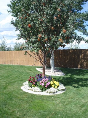 Beautiful landscaping!