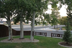 Beautiful Aspen trees provide plenty of shade!