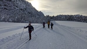 Sneeuw- en skisporten