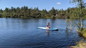 Järvi