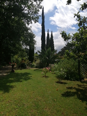 Property grounds