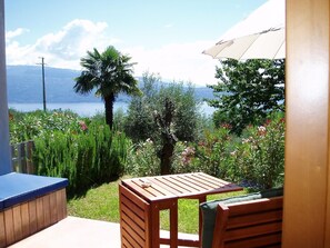 the terrace