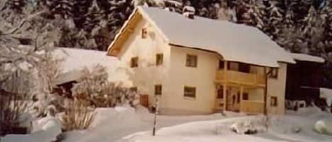 Ferienhaus am Waldesrand im Winter