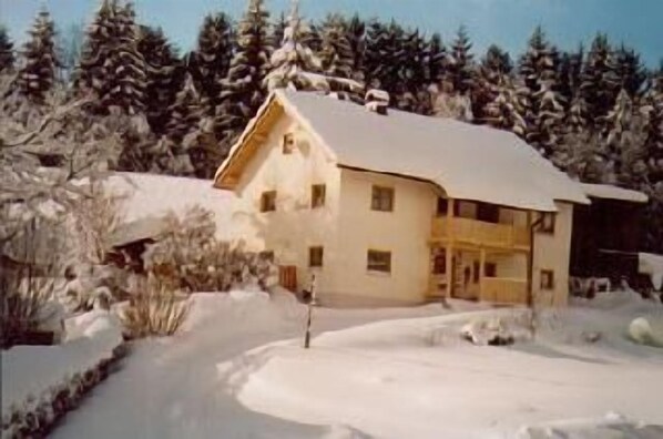 Ferienhaus am Waldesrand im Winter