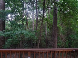 speakers on back porch 