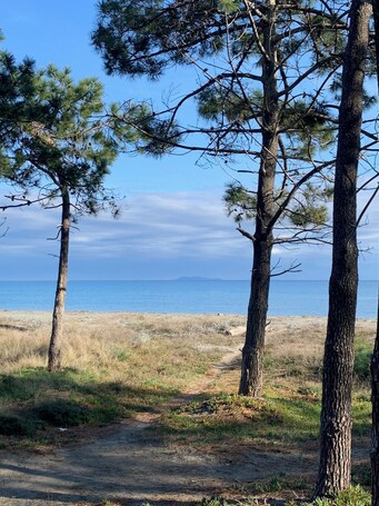 Strand
