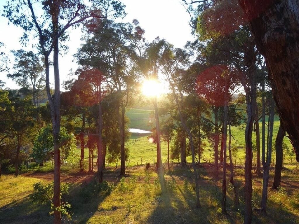Jarrahwood State Forest, Barrabup, Western Australia, Australia