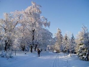 auf der Strecke nach Oberhof