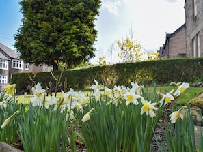 Garden | Tarn House, Wooler