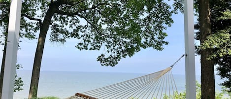 Hammock on back patio