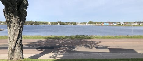 View from front steps/ living room. Colourful cabins across -> kayak rental.