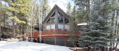 Spacious cabin on animal hill