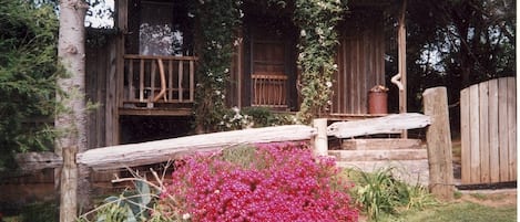 Cozy Cottage #1