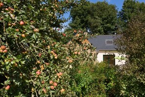 Boendeområde