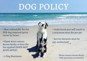 Dog Policy