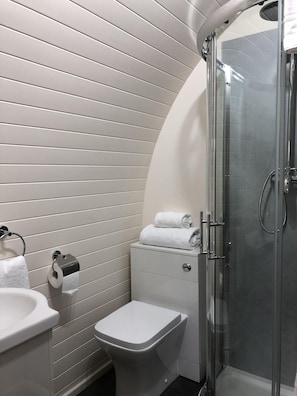 Shower room and toilet in pod