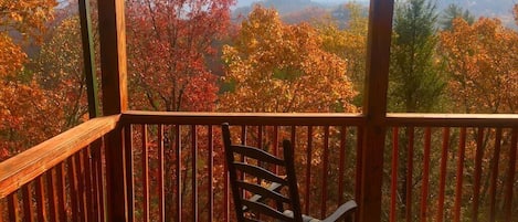 Fall view from all 3 decks and surrounding the cabin