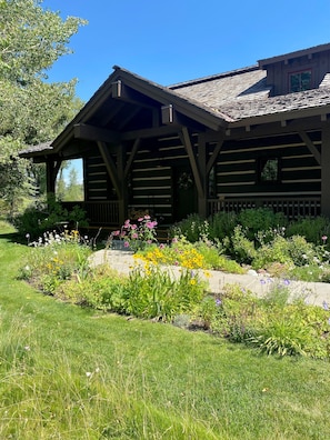 Front walkway flowers