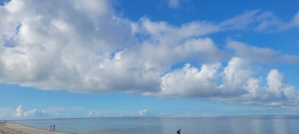 beach view, low tide