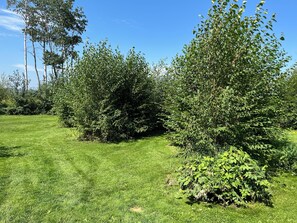 Boendeområde