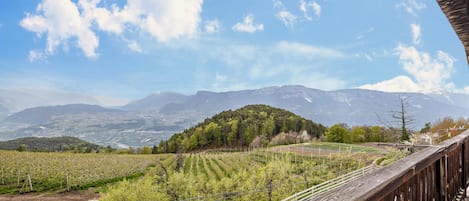 Terrain de l’hébergement 