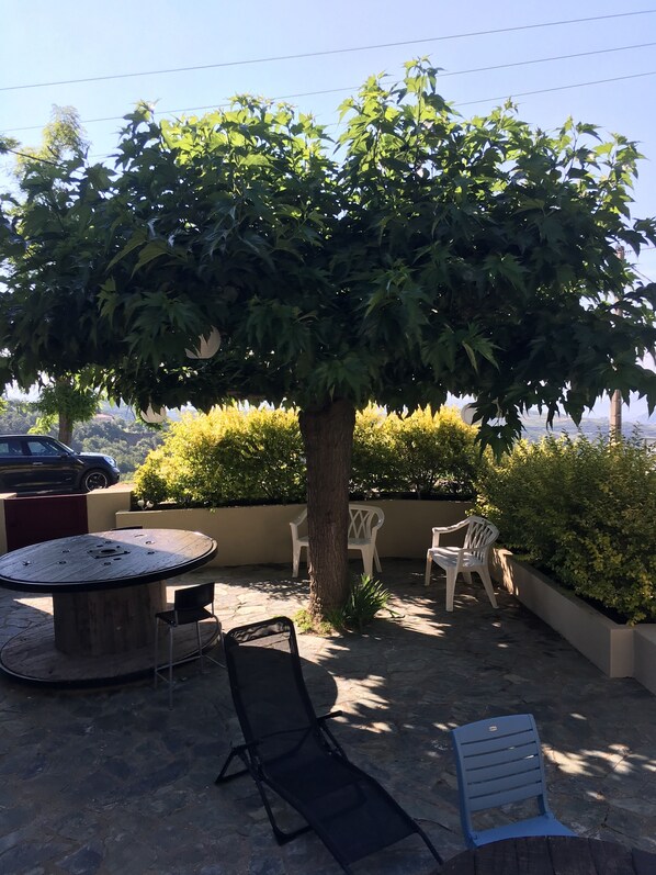 la terrasse et coin repas 