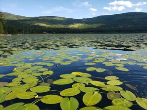Rogers Lake