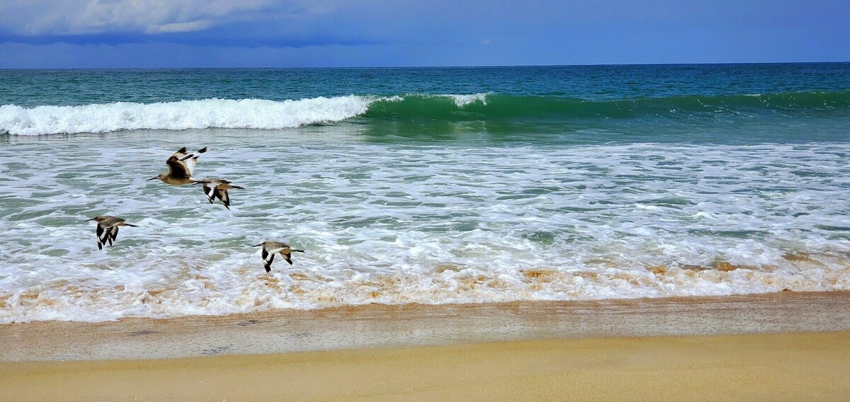 Oceanfront Escape, Private Sandy Beach Getaway