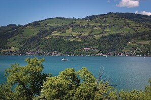 Blick von Ihrer Terasse ...