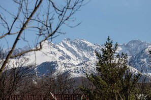 A scenic outdoor view of mountains, offering a serene and picturesque backdrop.