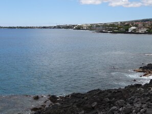 View from the Lanai. Watch for dolphins and the Kailua-Kona Bay.
