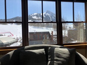 Gorgeous vista from light-filling windows in living area.