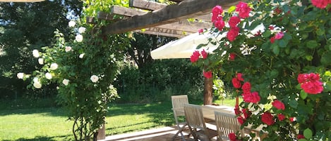 The pergola by the pool