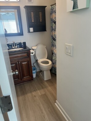Master bath with tub and shower
