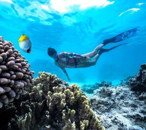 explore the lagoon - there is plenty off snorkel gear to use