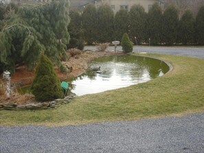 Lovely Coy Pond - self sustaining