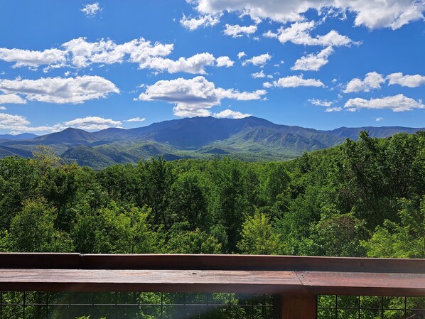 Your Deck View