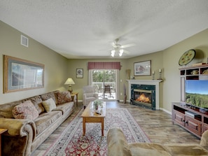 Living Room and Fireplace