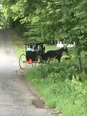 Guests enjoying a carriage ride.