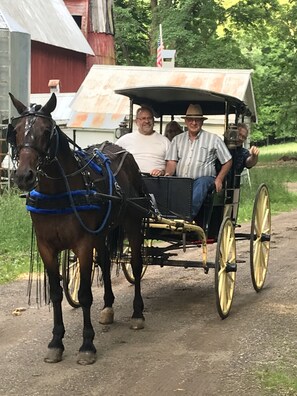 The carriage ride is a unique experience!