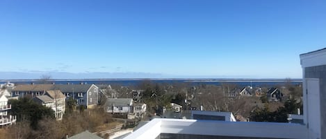 Roof top deck with sweeping 360 degree views of Provincetown harbor and Herring