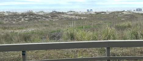 walking off the oceanfront back porch