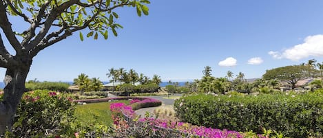 View of long driveway from house to street with tropical landscape