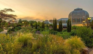 United States Botanic Garden