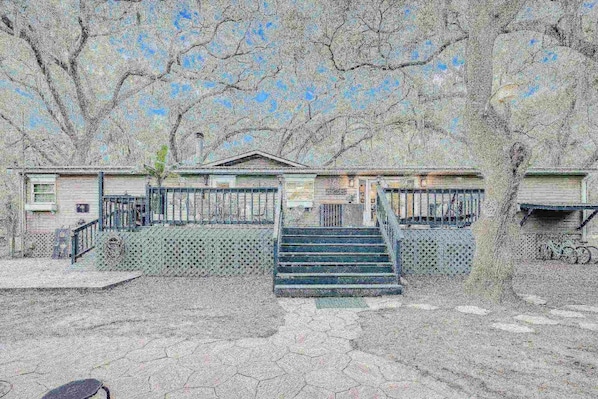 Backyard area