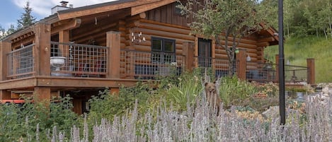 Welcome to Aspen Bear Paws! This beautifully renovated cabin home is your new home away from home!