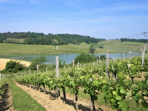 LE LAC DE LA PROPRIETE POUR DES BALADES A 100 M