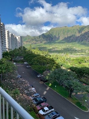 Vista da propriedade