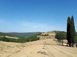 Town/city in general. Location, high summer